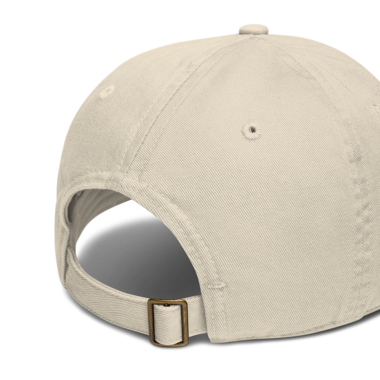 New Habits New Life White Logo Dad Hat (oyster color) back