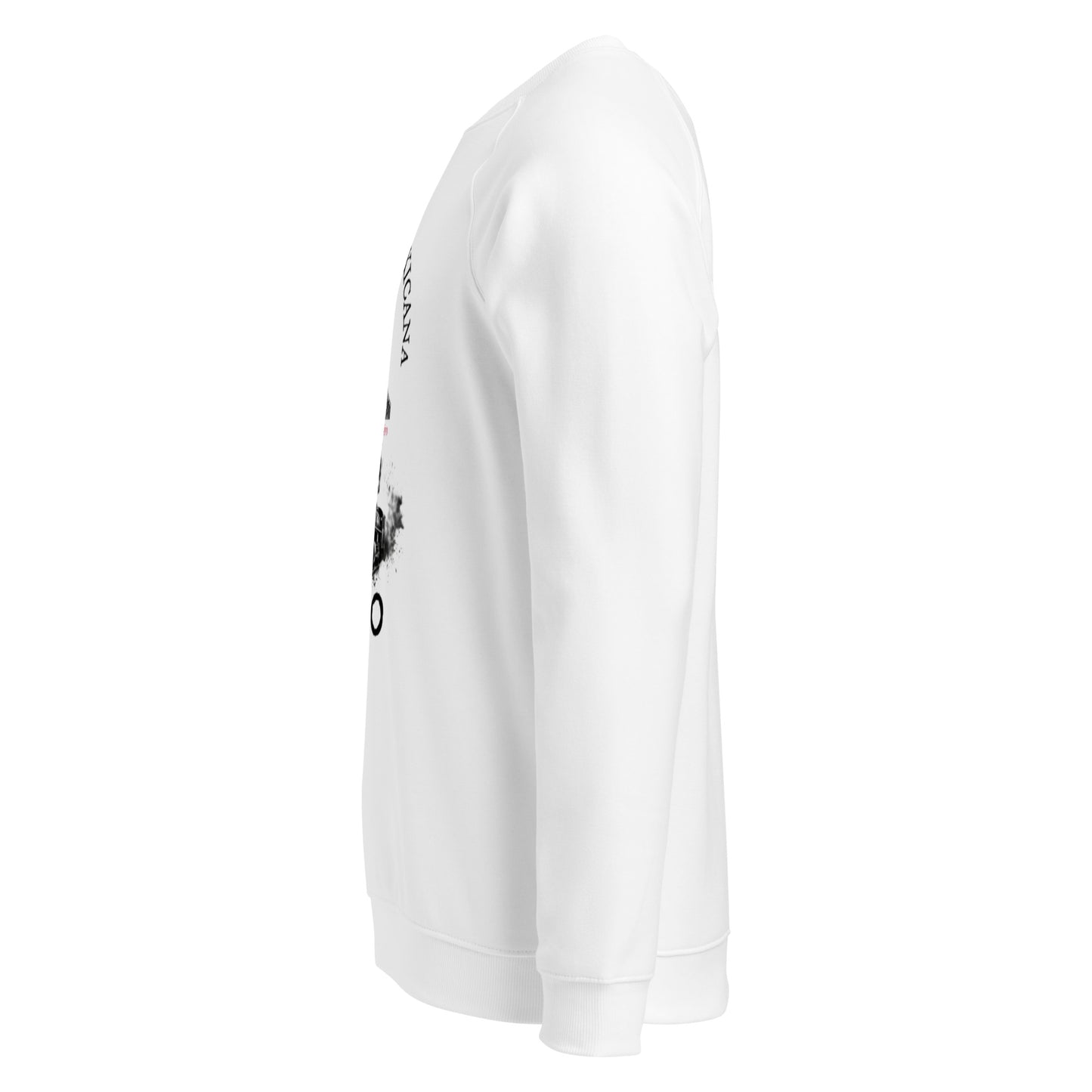 Francisco I. Madero organic raglan sweatshirt 3
