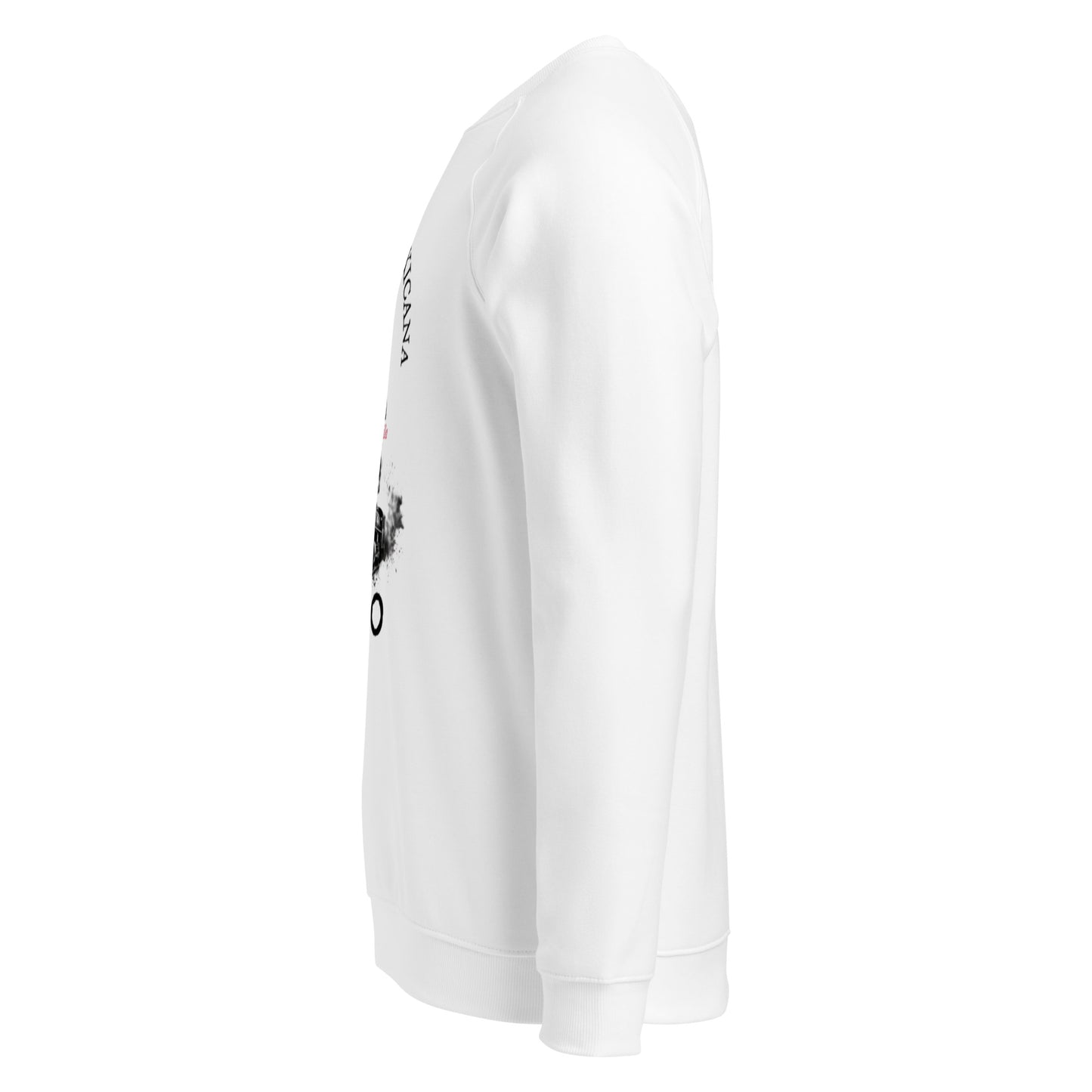 Pancho Villa organic raglan sweatshirt 3