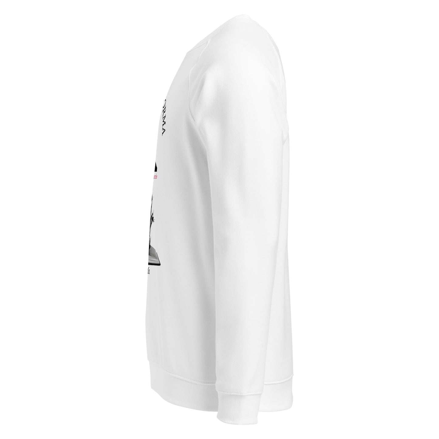 Benito Juarez organic raglan sweatshirt 3