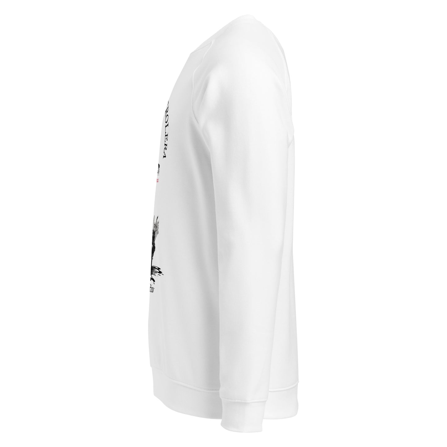 Lazaro Cardenas organic raglan sweatshirt 3