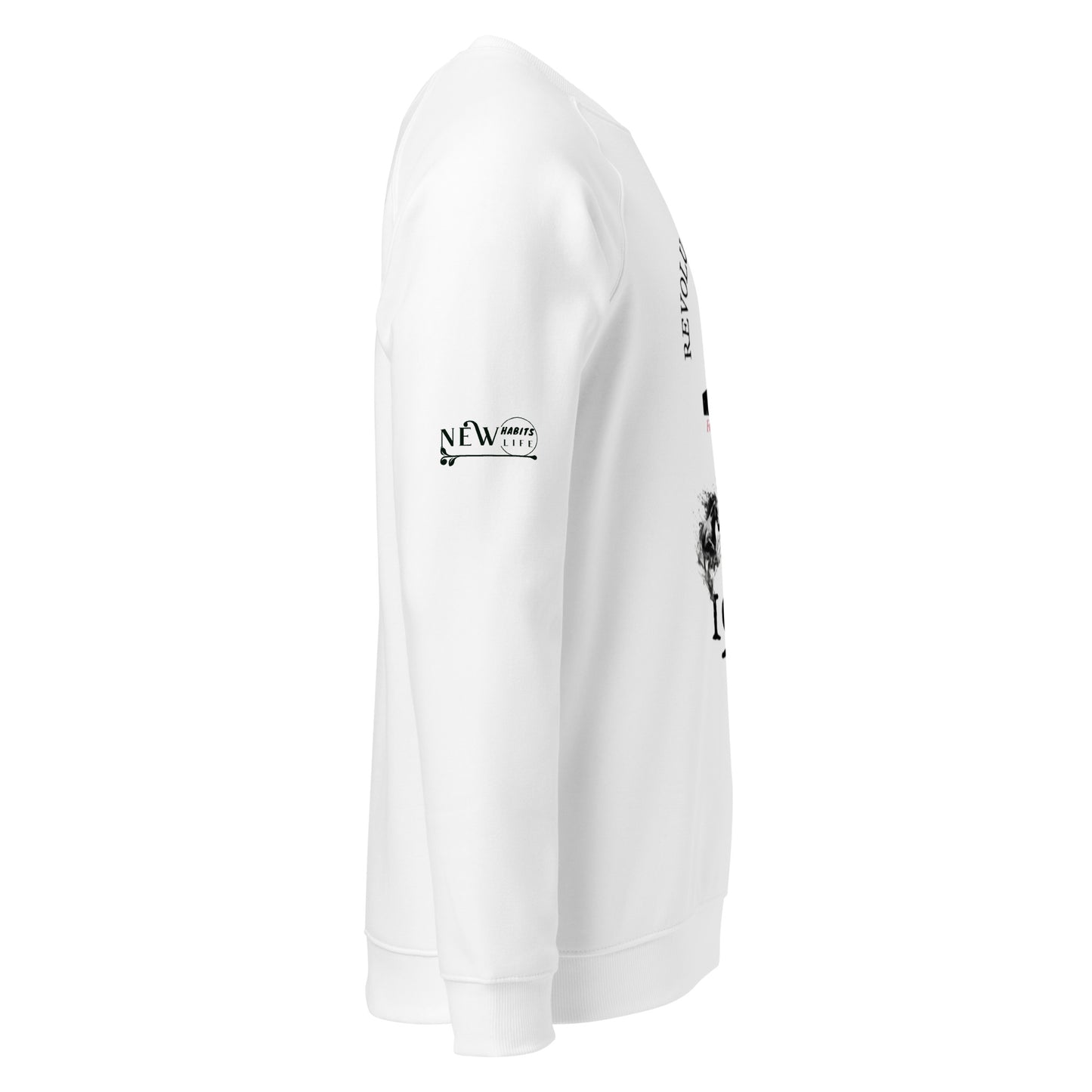 Francisco I. Madero organic raglan sweatshirt 4