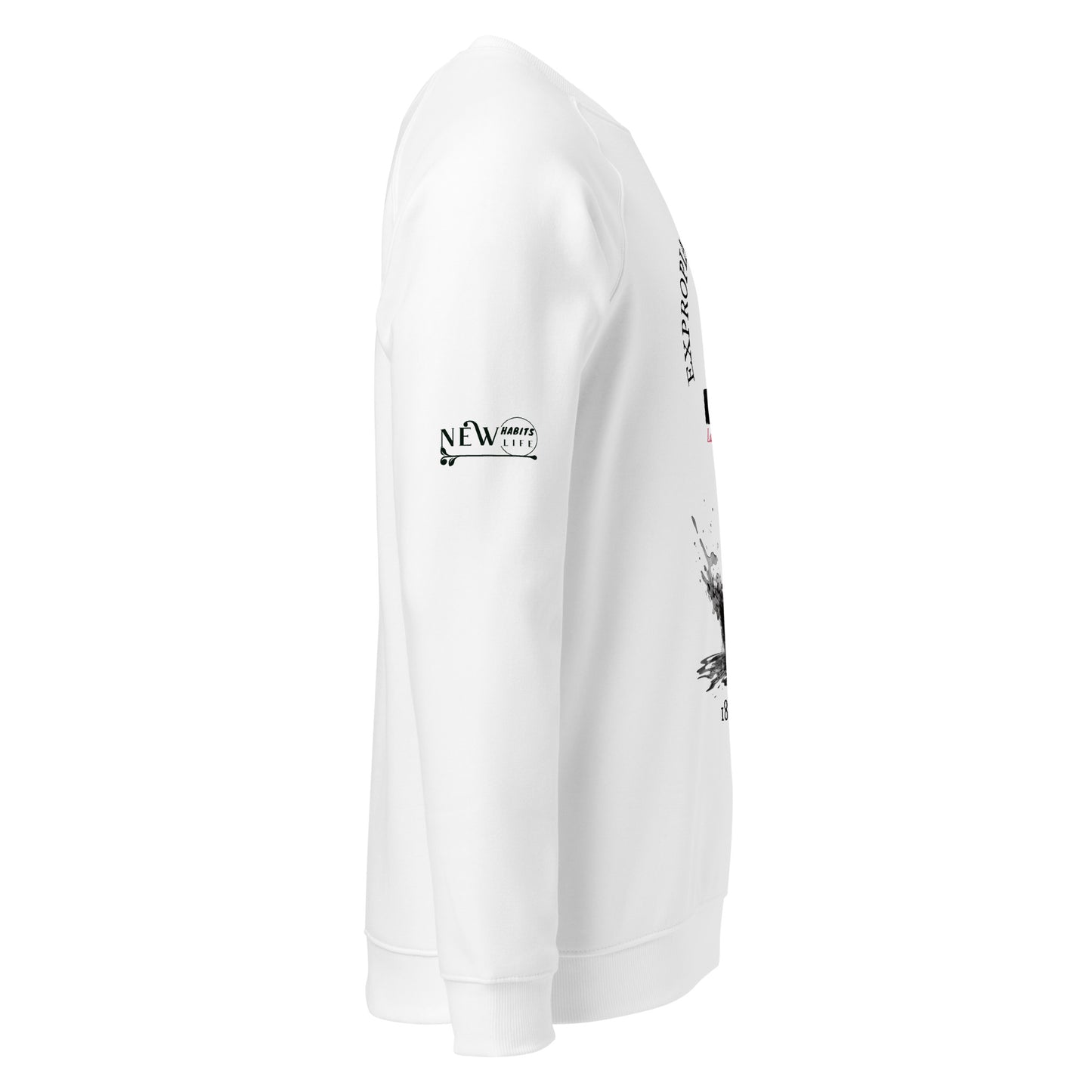 Lazaro Cardenas organic raglan sweatshirt 4