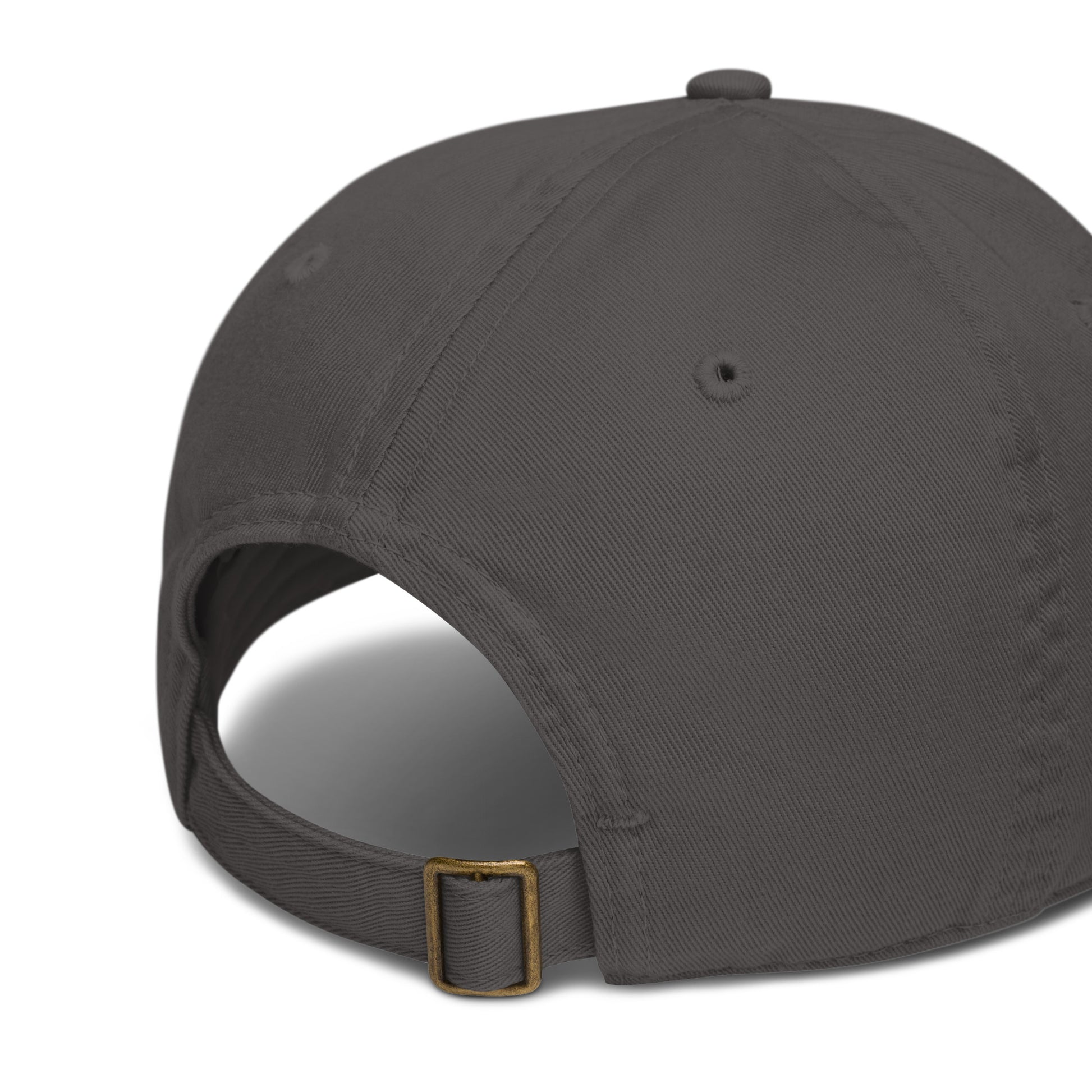 New Habits New Life White Logo Dad Hat (charcoal color) back