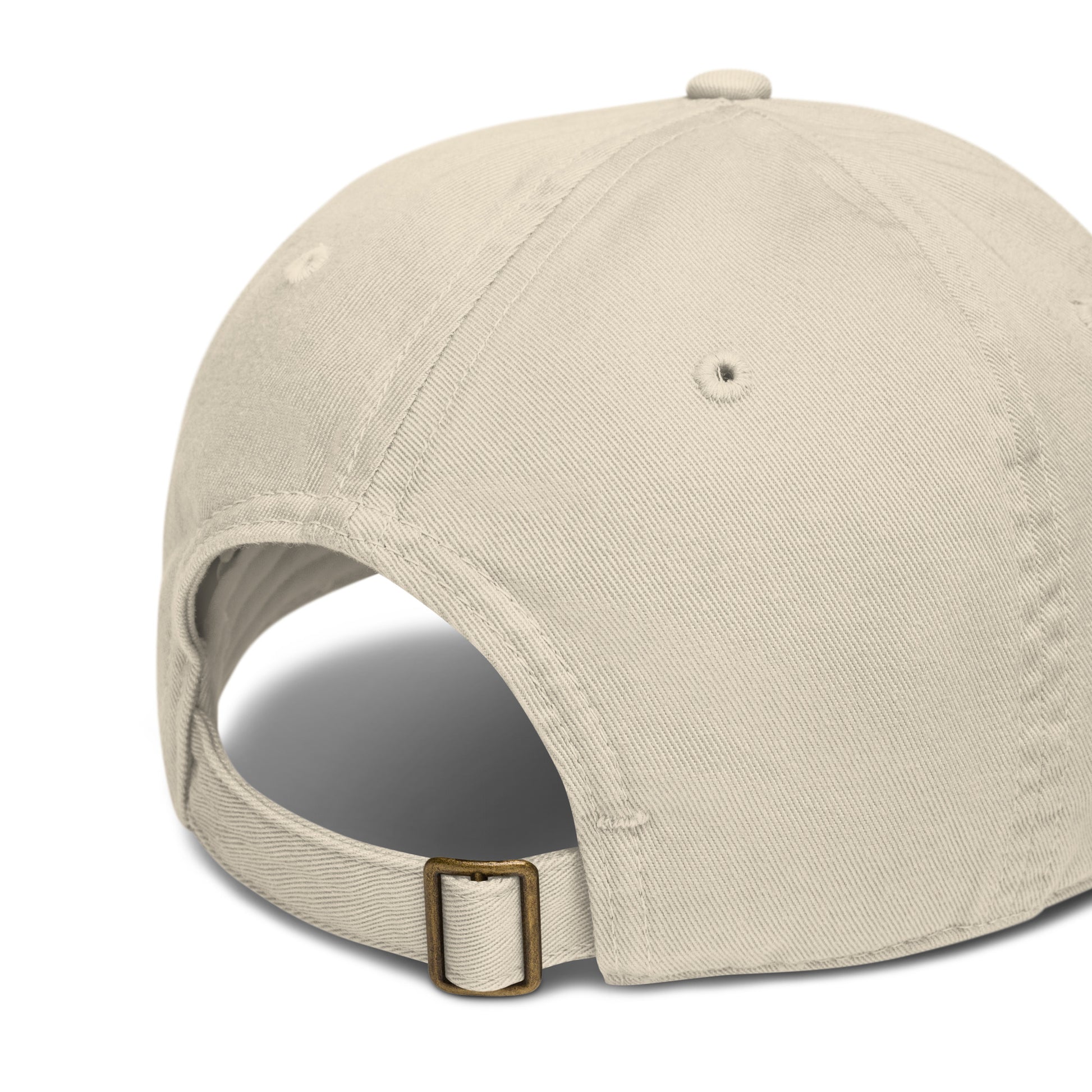 New Habits New Life White Logo Dad Hat (oyster color) back