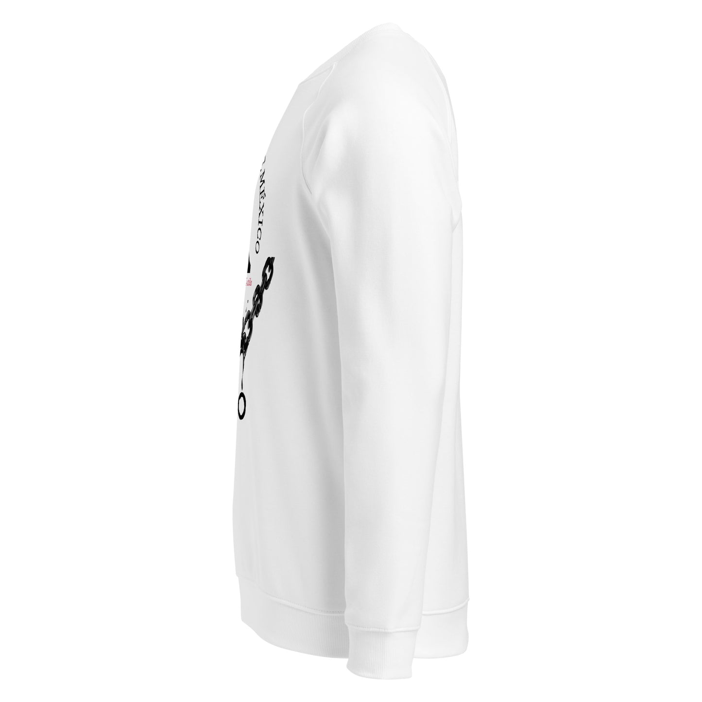 Miguel Hidalgo organic raglan sweatshirt 3