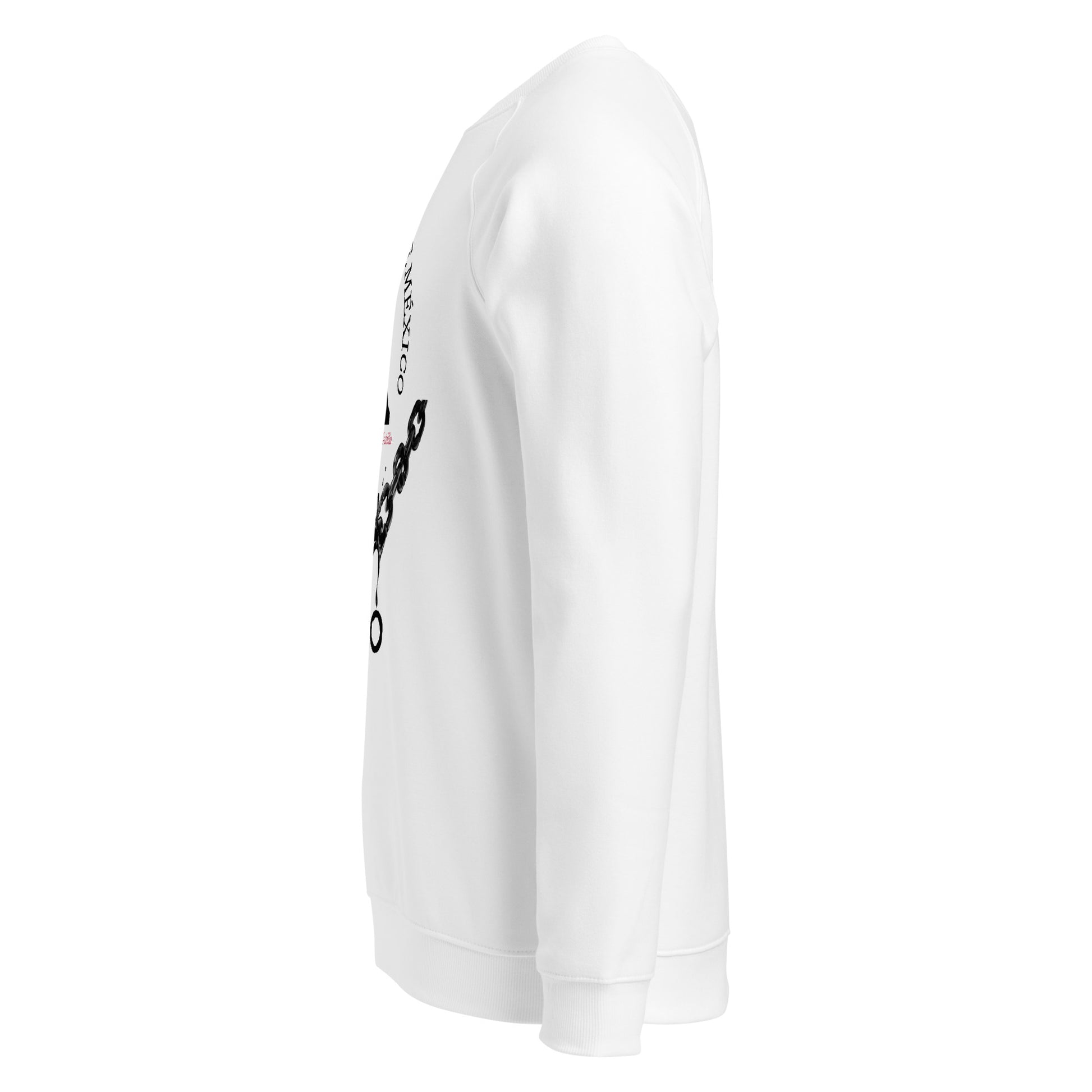 Miguel Hidalgo organic raglan sweatshirt 3
