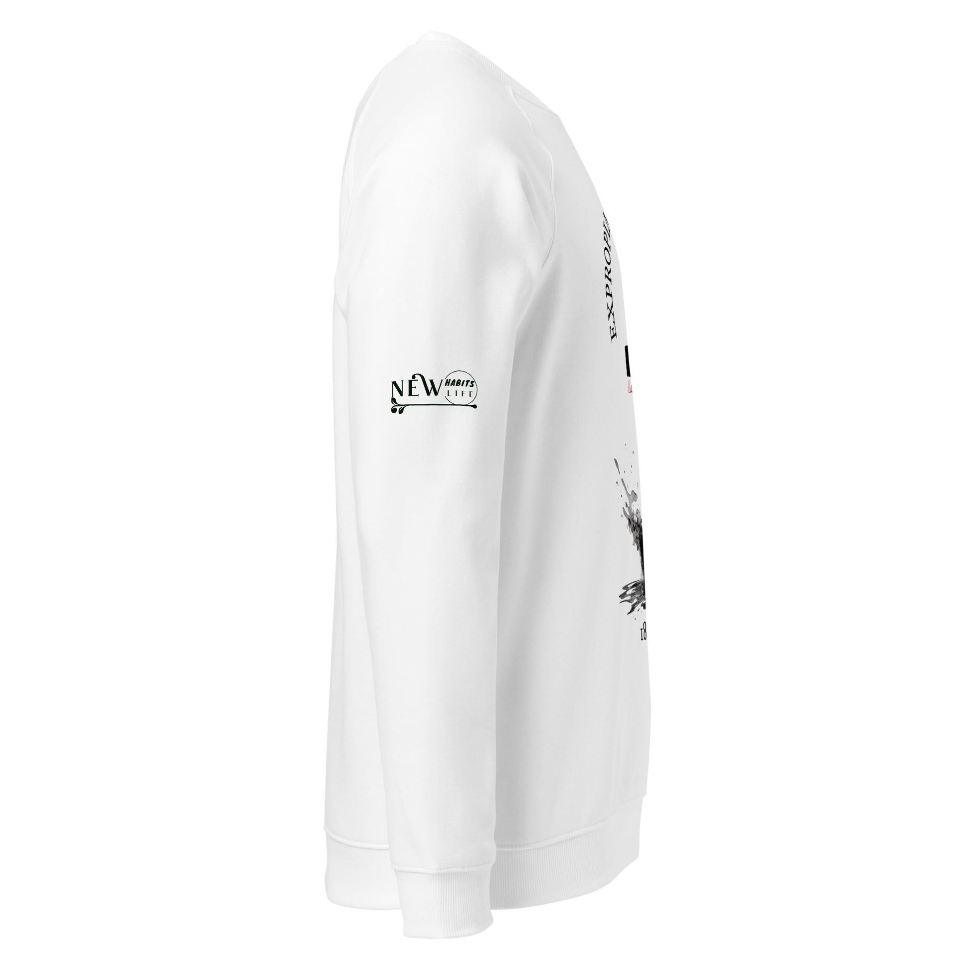Lazaro Cardenas organic raglan sweatshirt 4